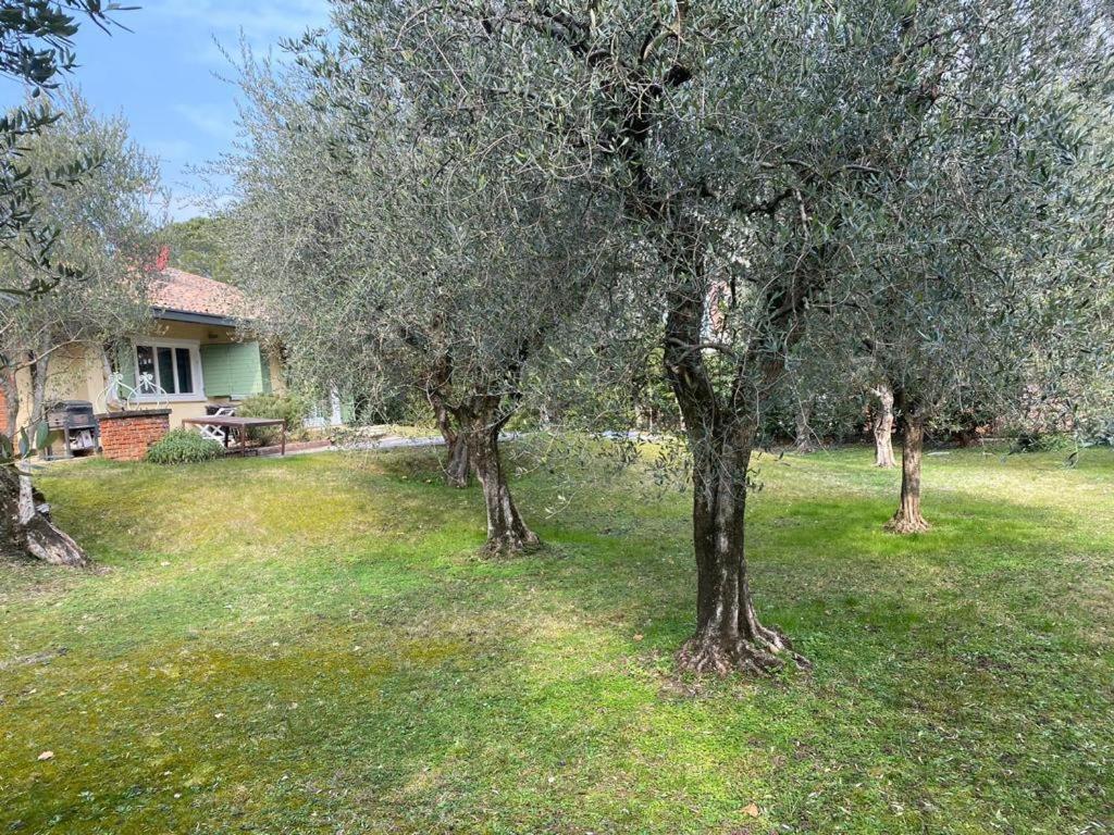 Sweet Flower - With Private Pool And Garden